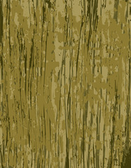 Obraz premium wood texture