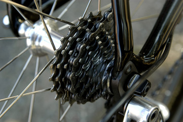 Bicycle Chain and Sprocket