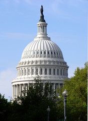 United States Capitol Dome with trees