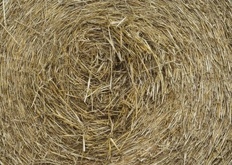 Round Hay Bale