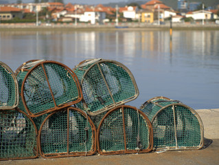 Nasas de pesca