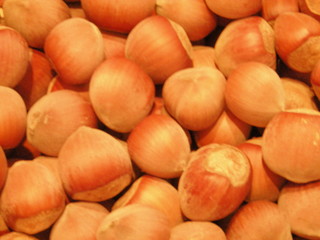 nocciole
