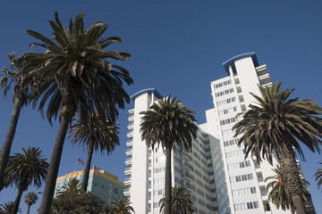 Fototapeta na wymiar Santa Monica skyline