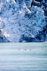 Kayakers in the glacier bay