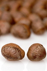 hazelnuts