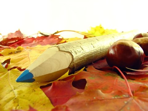 chestnuts and color pencil