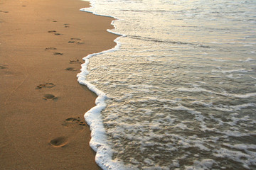 footprints on the beach