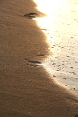 footprints on the beach