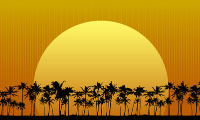 Sun Setting Behind Palm Trees