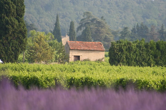 Le petit cabanon