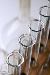 lab