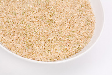 Brown Rice
