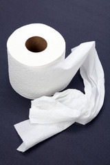 toilet paper
