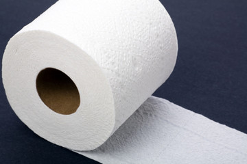 toilet paper
