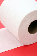toilet paper