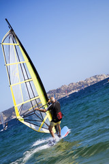Naklejka premium windsurfers