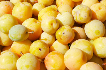 Fototapeta na wymiar yellow plums