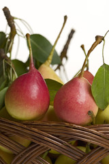 pear