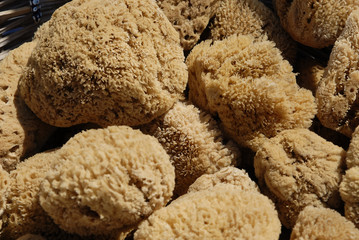 Natural sponge