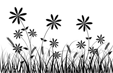 Grass and flower, vector