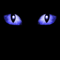 Two feline eyes