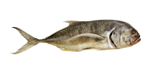 Whole raw fish