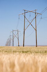 Prairie Power Line