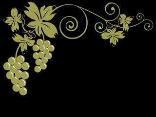Tralcio di vite con grappoli d'uva