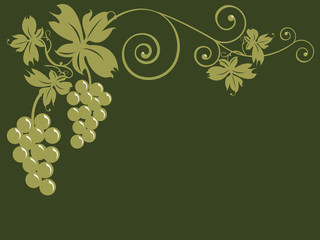 Tralcio di vite con grappoli d'uva
