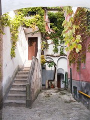 Ravello alley stairs climber  autumnal