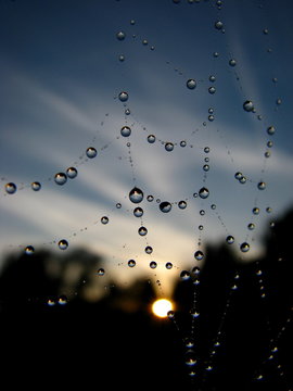 Guten Abend