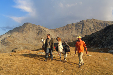 Lamatrekking 4 © Konstanze Gruber