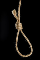 noose