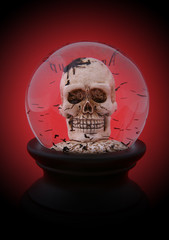 Halloween Skull