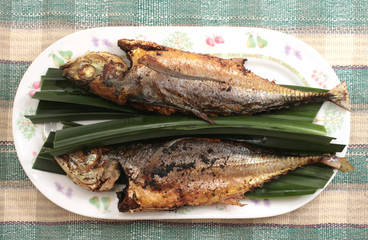 Fish
