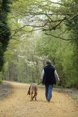 Woman walking dog in woodland