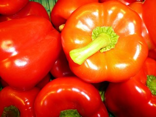 rote Paprika
