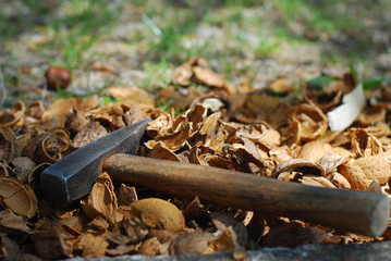 Hammer with wooden stick on crushed nuts