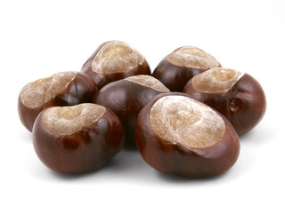 Bunch of chestnuts. Isolated on white.