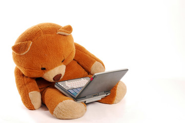 Oso peluche con ordenador