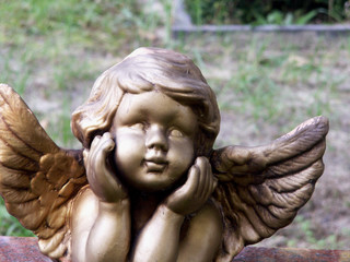 engel