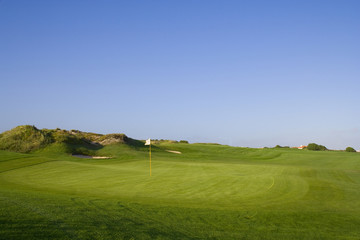 Naklejka premium Green in a golf course