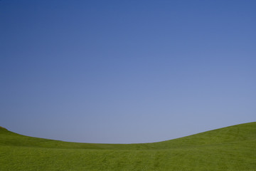 Fototapeta premium The beauthy of blue and green