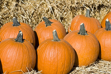 getting close to fall