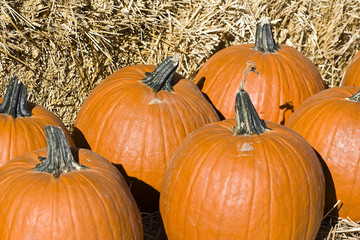 getting close to fall