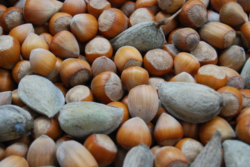 amandes et noisettes