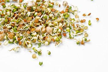 Mix of sprouts. Healthy food.