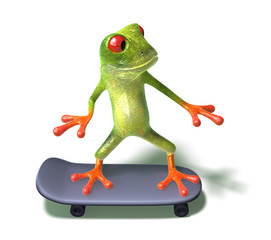 Grenouille en skateboard