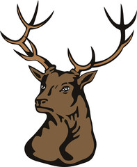 Stag