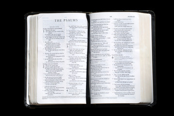 Fototapeta premium the psalms